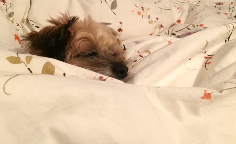 max-sleep